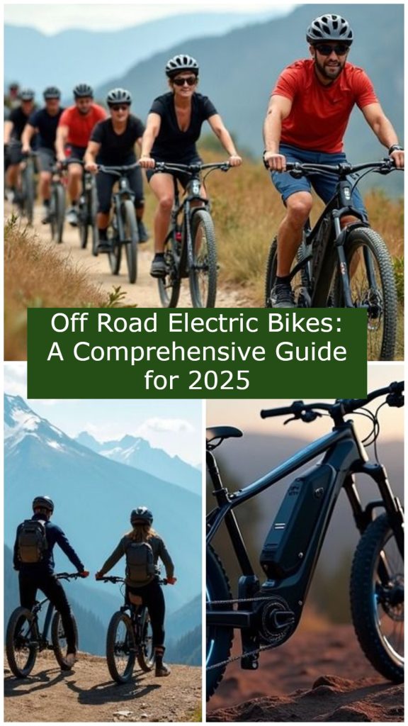 How Off-Road E-Bikes Are Revolutionizing Trail Exploration in 2025 1 Off Road Electric Bikes A Comprehensive Guide for 2025