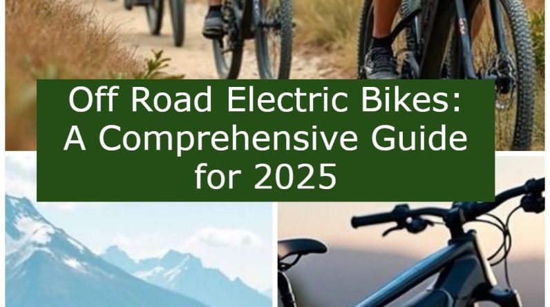 Off Road Electric Bikes A Comprehensive Guide for 2025